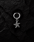 Kai Star Earring