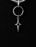 Hoshi Earring